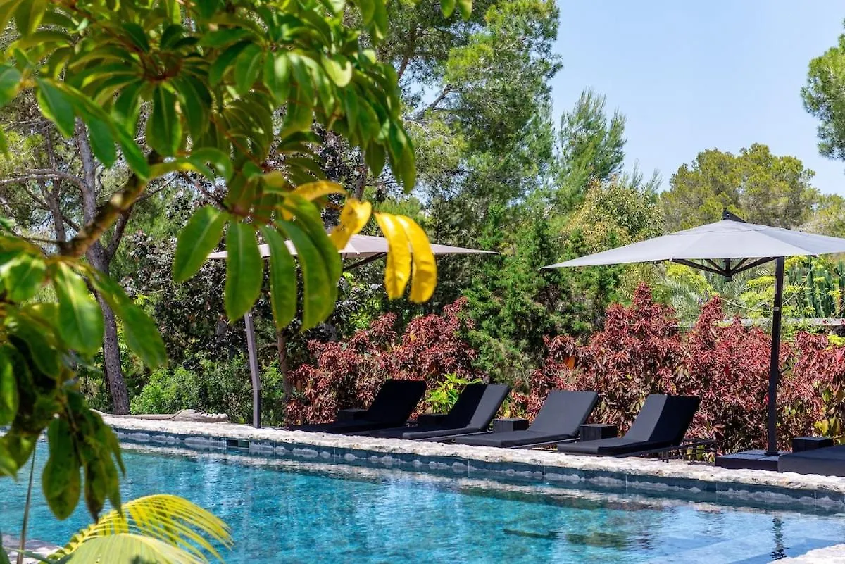 Вилла Can Serenico Ibiza